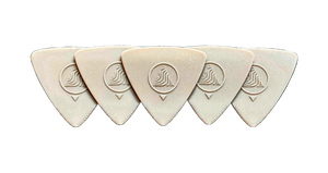 Earthtone by Devin Townsend