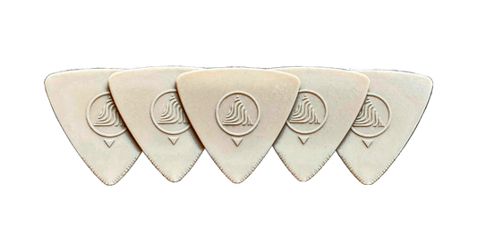 DEVIN TOWNSEND'S EARTHTONE - AttakPik