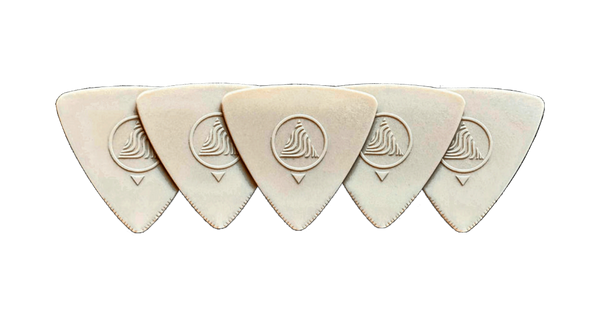 DEVIN TOWNSEND'S EARTHTONE - AttakPik