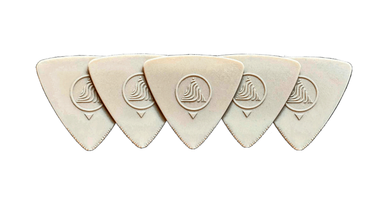 Earthtone by Devin Townsend